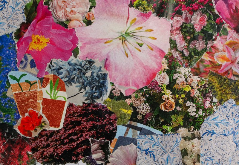 The Postcard Show